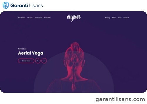Cssignither Vigour WP Theme