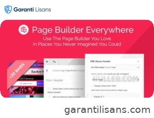 Divi Page Builder Everywhere
