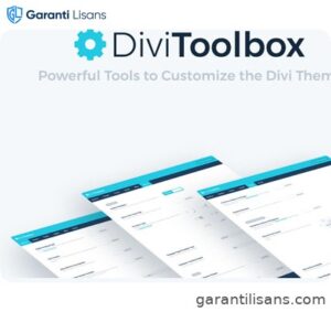 Divi Toolbox Customize Divi Theme