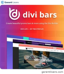 DiviLife – Divi Bars