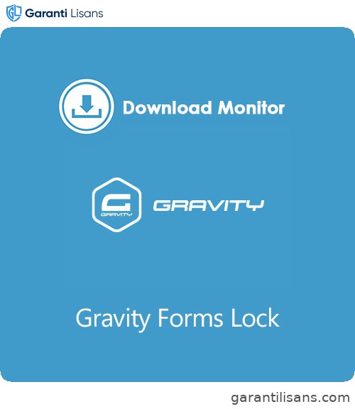 Download Monitor Gravity Forms Lock