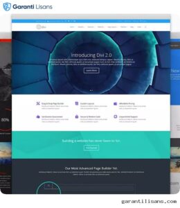 Elegant Themes Divi WordPress Theme + Layouts