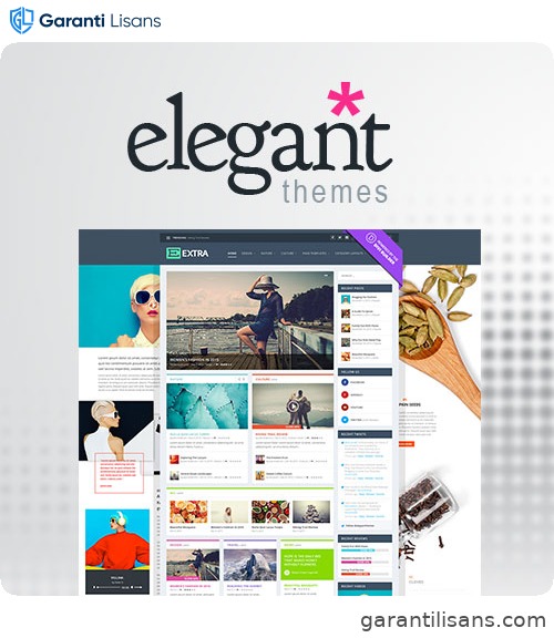 Elegant Themes Extra WordPress Theme