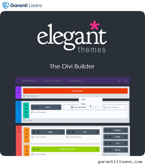 Elegant Themes The Divi Builder