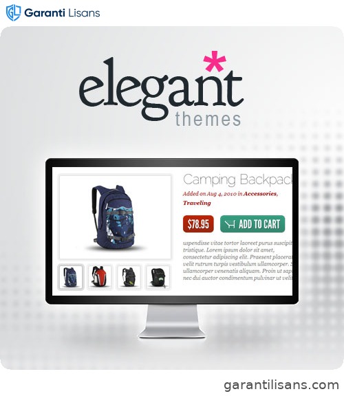 Elegant Themes eStore WooCommerce Theme