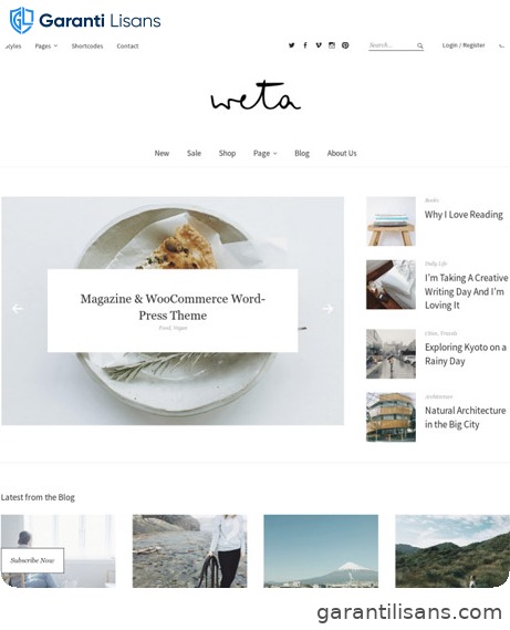 ElmaStudio Weta WordPress Theme