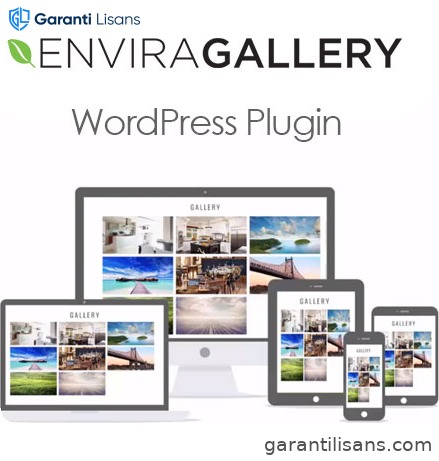 Envira Gallery WordPress Plugin