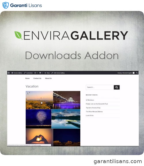 Envira Gallery – Downloads Addon