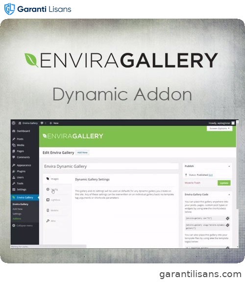 Envira Gallery – Dynamic Addon