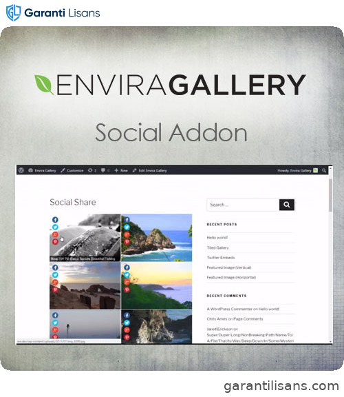 Envira Gallery – Social Addon