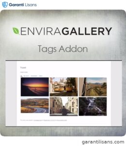 Envira Gallery – Tags Addon