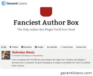 Fanciest Author Box