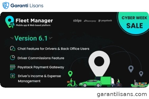 Fleet Manager Job Description: Salary, Skills, & More