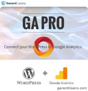GA Google Analytics Pro