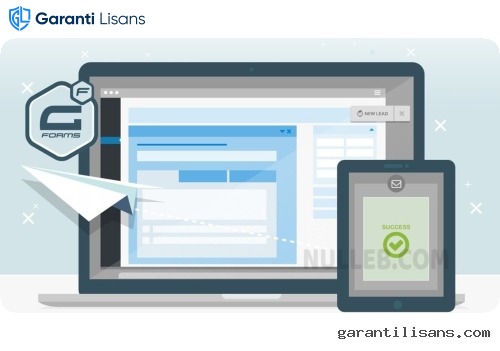 Gravity Forms – WordPress Form Plugin
