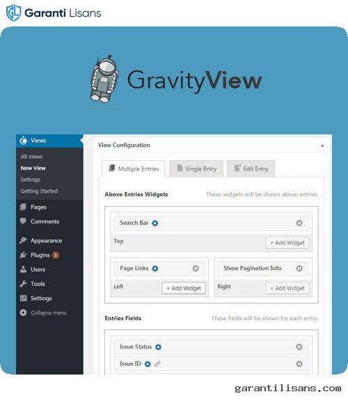Gravity View WordPress Plugin