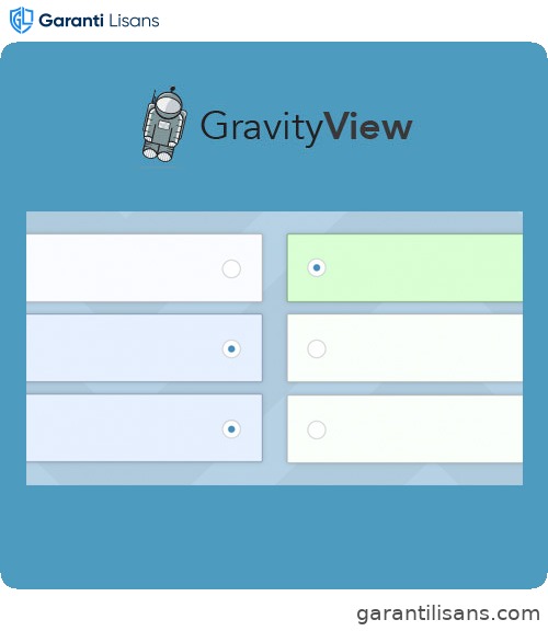GravityView – Entry Revisions