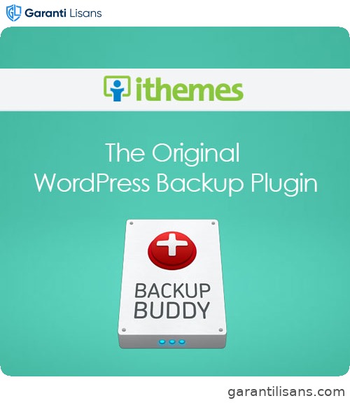IThemes BackupBuddy WordPress Plugin