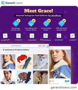 Instagram Feed Gallery — Grace for WordPress
