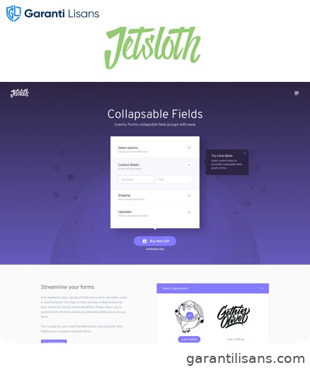 Jetsloth – Gravity Forms Collapsible Sections
