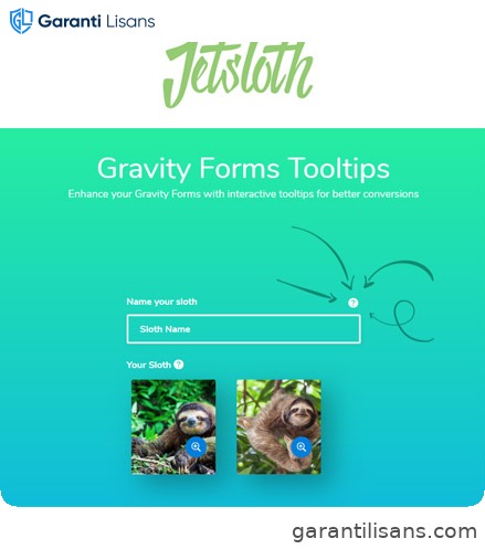 Jetsloth – Gravity Forms Tooltips