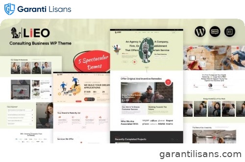 LIEO – Consulting Theme