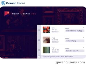 Laravel Media Library Pro