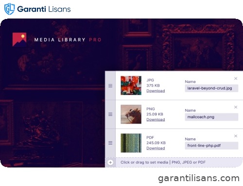 Laravel Media Library Pro