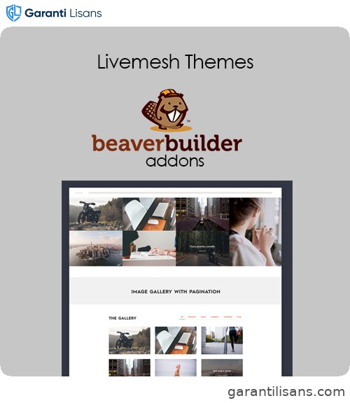 Livemesh Addons for Beaver Builder