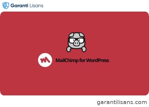MC4WP – Mailchimp for WordPress plugin