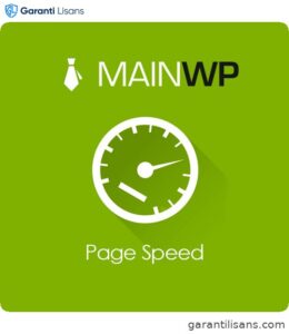 MainWP Page Speed