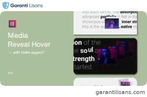 Media Reveal Hover for Elementor