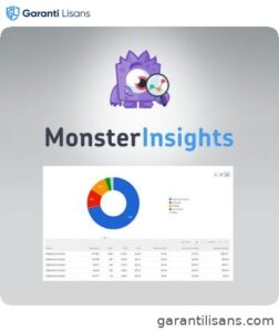 MonsterInsights – Ads Addon