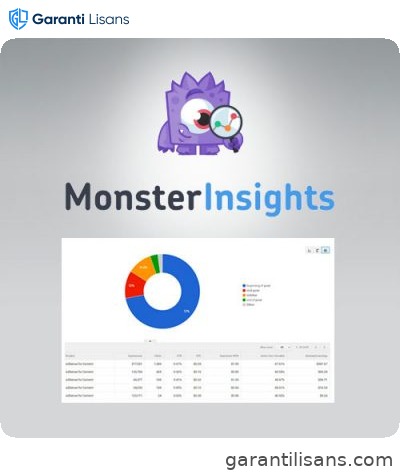 MonsterInsights – Ads Addon