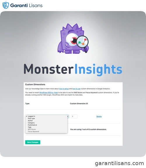 MonsterInsights – Dimensions Addon
