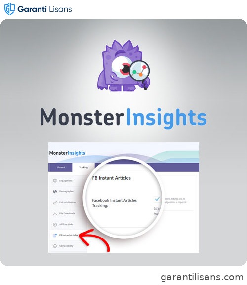 MonsterInsights – Facebook Instant Articles Addon