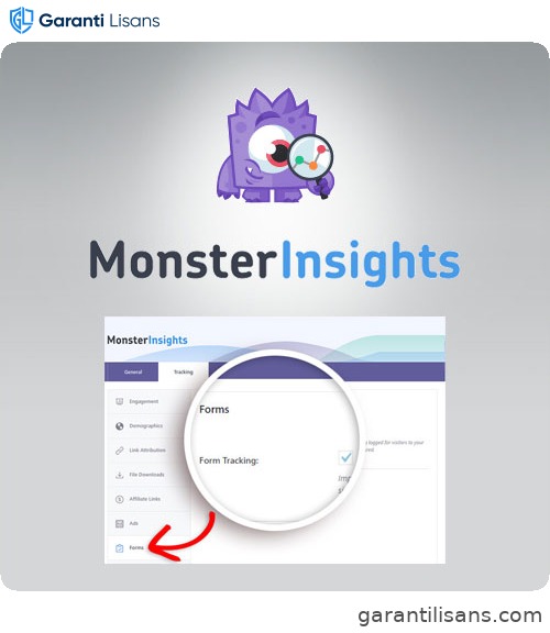 MonsterInsights – Forms Tracking Addon