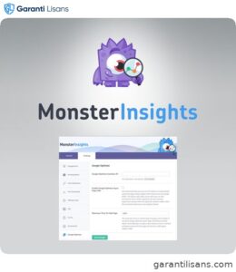 MonsterInsights – Google Optimize Addon
