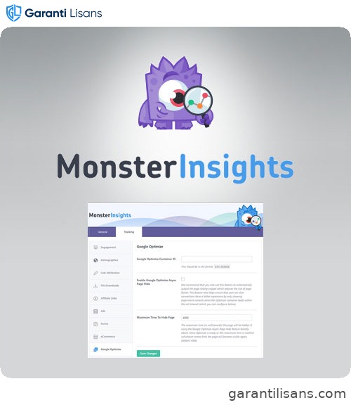 MonsterInsights – Google Optimize Addon