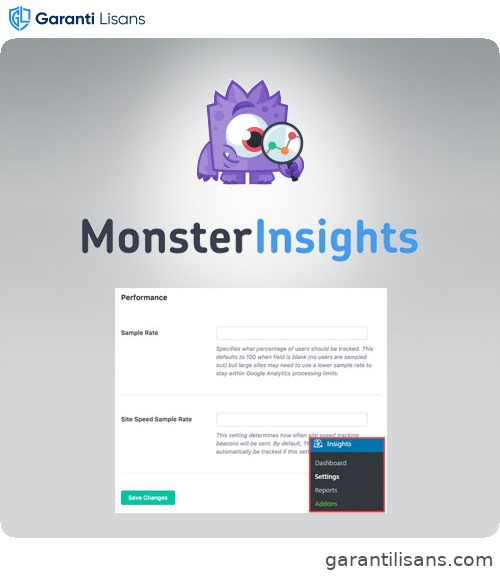 MonsterInsights – Performance Addon