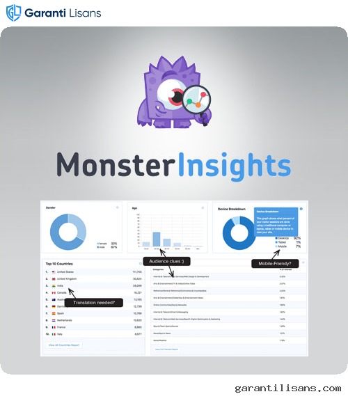 MonsterInsights Pro Google Analytics Premium