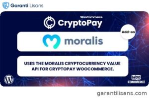 Moralis Converter API for CryptoPay WooCommerce
