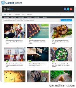 MyThemeShop Ad-Sense WordPress Theme