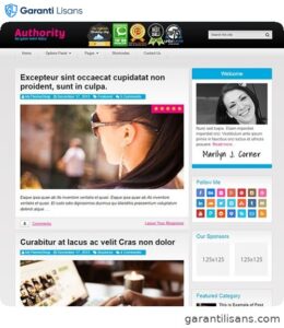 MyThemeShop Authority WordPress Theme