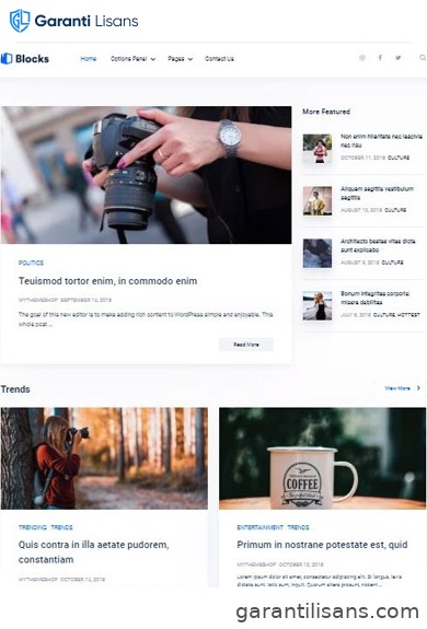 MyThemeShop Blocks WordPress Theme