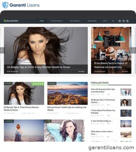 MyThemeShop Blogging WordPress Theme