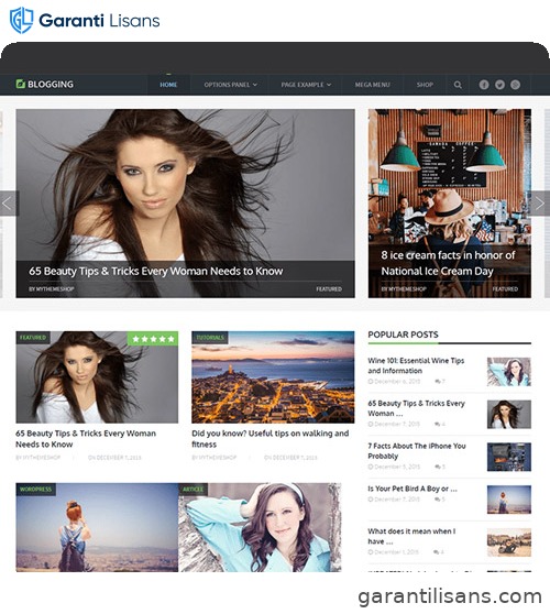 MyThemeShop Blogging WordPress Theme