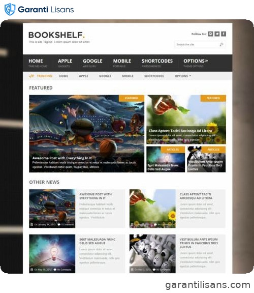 MyThemeShop Bookshelf WordPress Theme