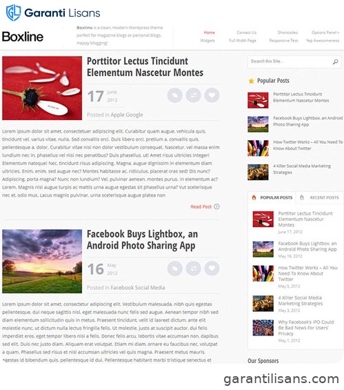 MyThemeShop Boxline WordPress Theme