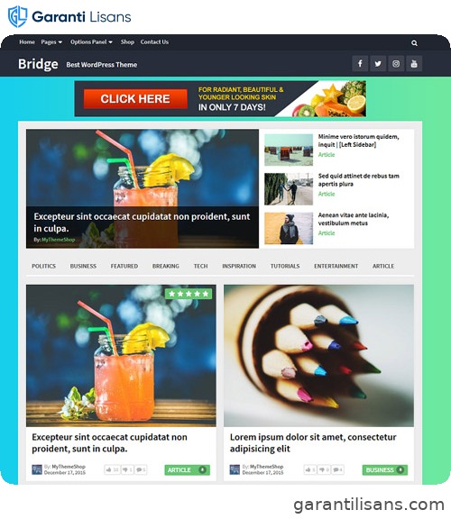 MyThemeShop Bridge WordPress Theme